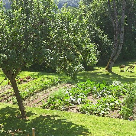 L'Ourserie Bed & Breakfast Saint-Paul-en-Chablais Екстериор снимка
