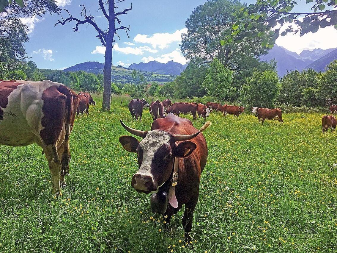 L'Ourserie Bed & Breakfast Saint-Paul-en-Chablais Стая снимка